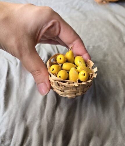 Mangoe basket miniature fridge magnet
